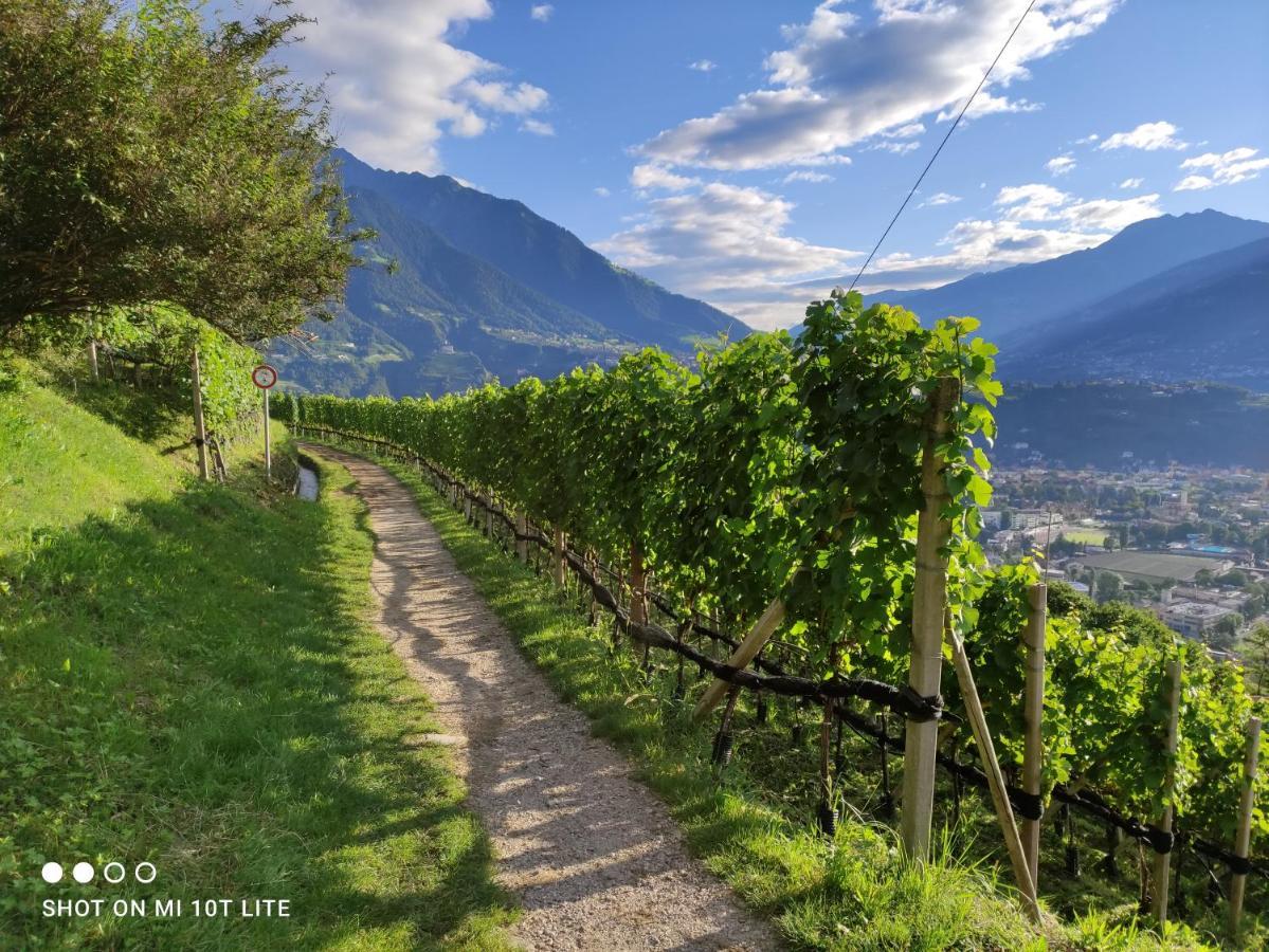 Ruhige Ferienwohnung Mit Garten Und Garage In Privatvilla Marling Buitenkant foto